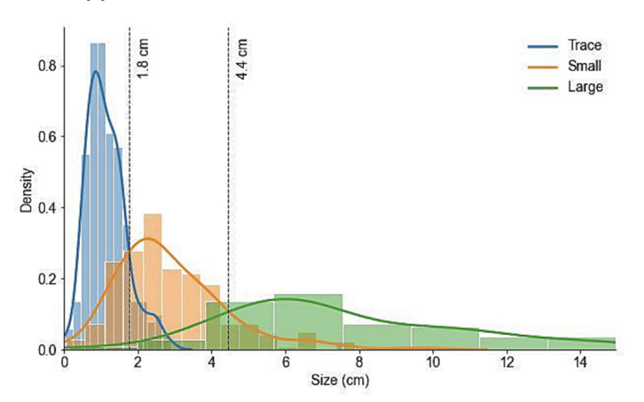 Diagnostic Accuracy of an Automated Classifier for the Detection of Pleural Effusions in Patients Undergoing Lung Ultrasound