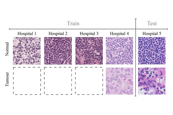Bringing Equity to Classification: Domain Generalization for Domain-Linked Classes